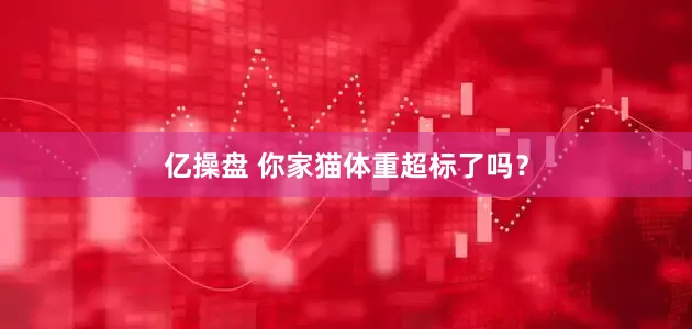 亿操盘 你家猫体重超标了吗？