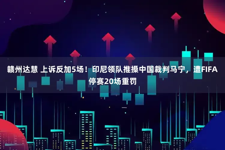 赣州达慧 上诉反加5场！印尼领队推搡中国裁判马宁，遭FIFA停赛20场重罚